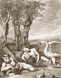 Cygnus Transformed into a Swan and Phaeton